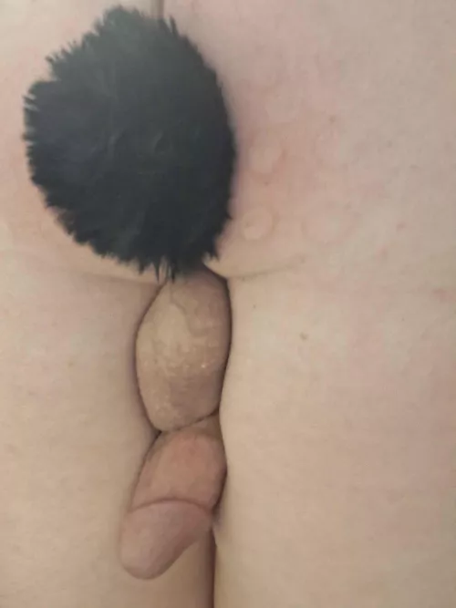 Anybody want a femboy with a plump ass :3