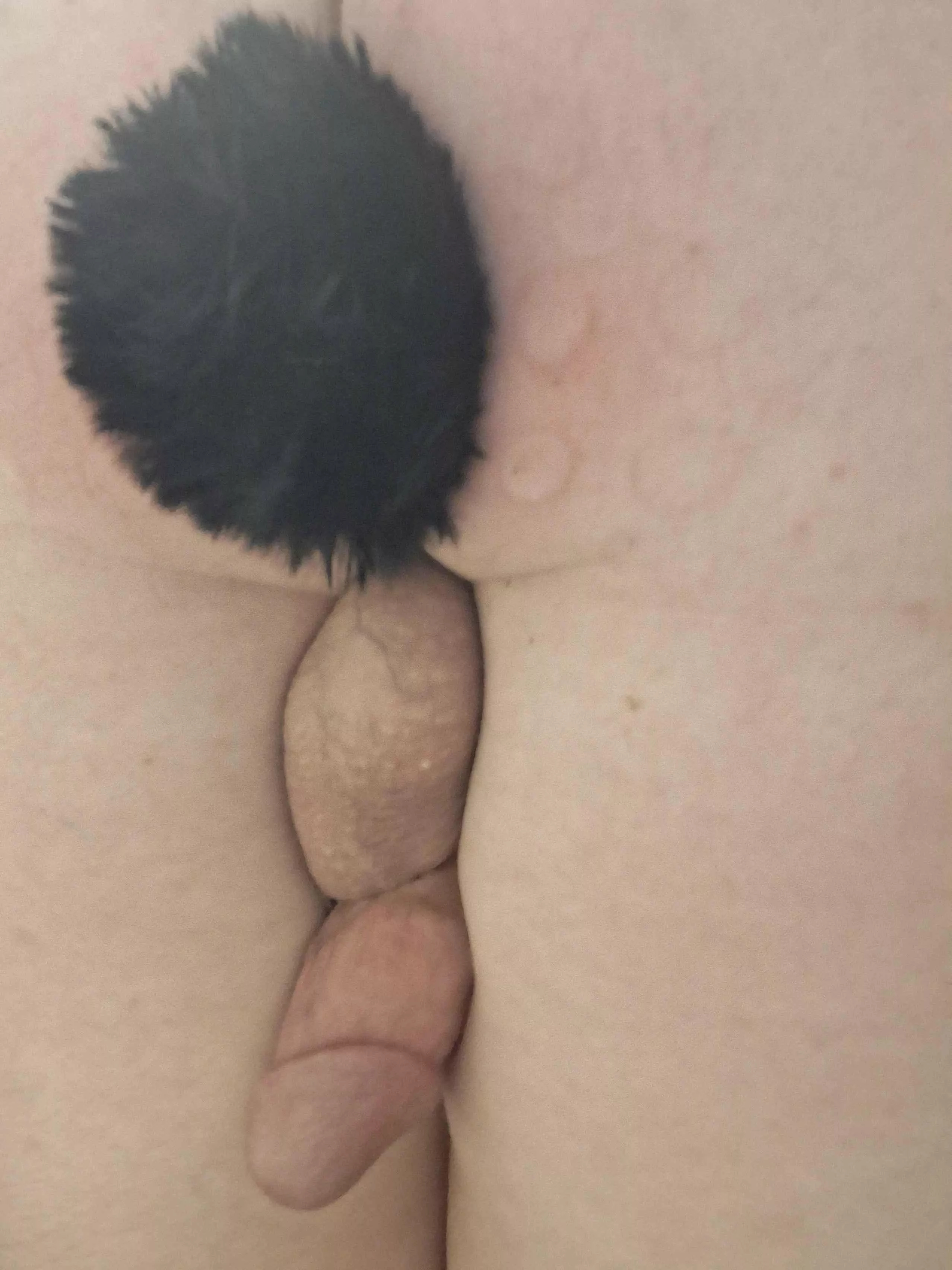 Anybody want a femboy with a plump ass :3