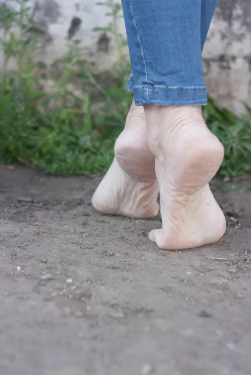 Are they arched enough?