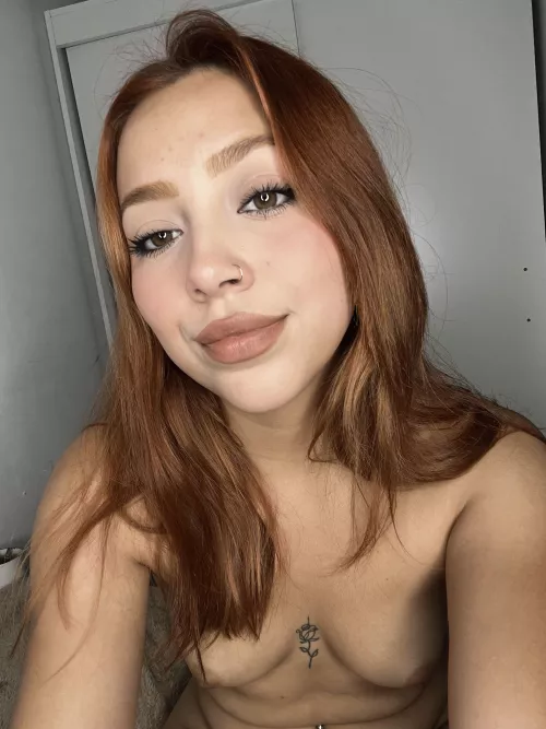 are u on team A cups Y / N ?