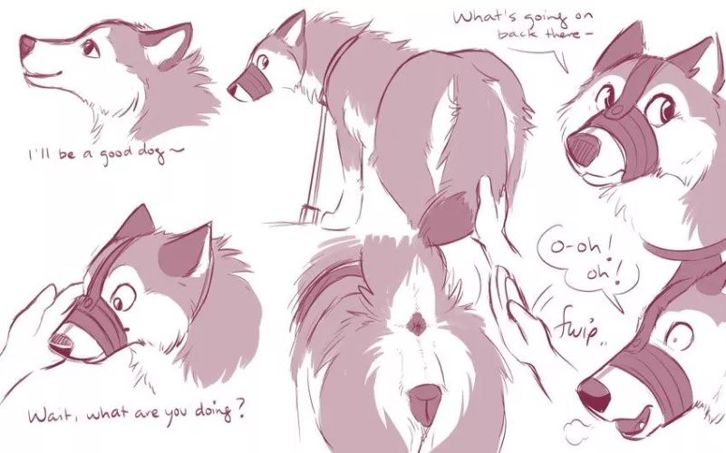 Being an obedient bitch [f] (unknown)