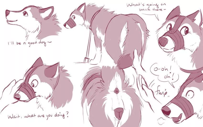 Being an obedient bitch [f] (unknown)