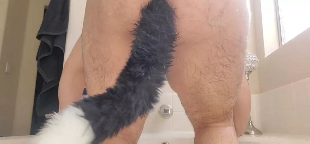 Big ass and tail! 