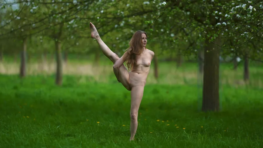 Bird of Paradise 🐌🌞🦋🐞🐛🦜🌳🤍🧘‍♀️🕉