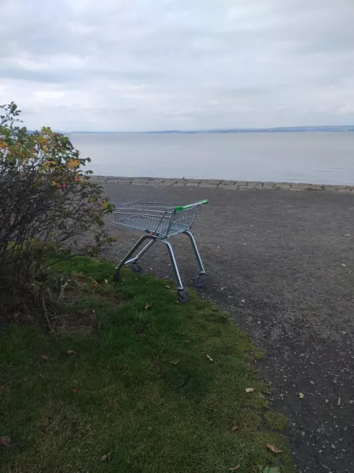 Bitch waiting for shore play