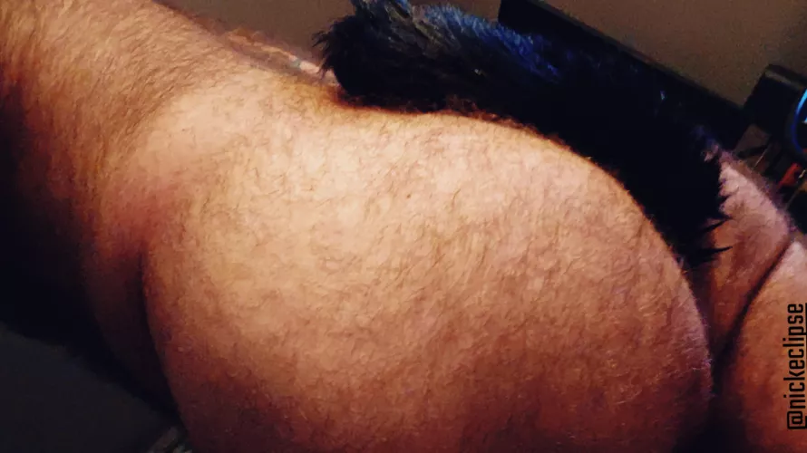 black cat 🐈‍⬛ season is here...