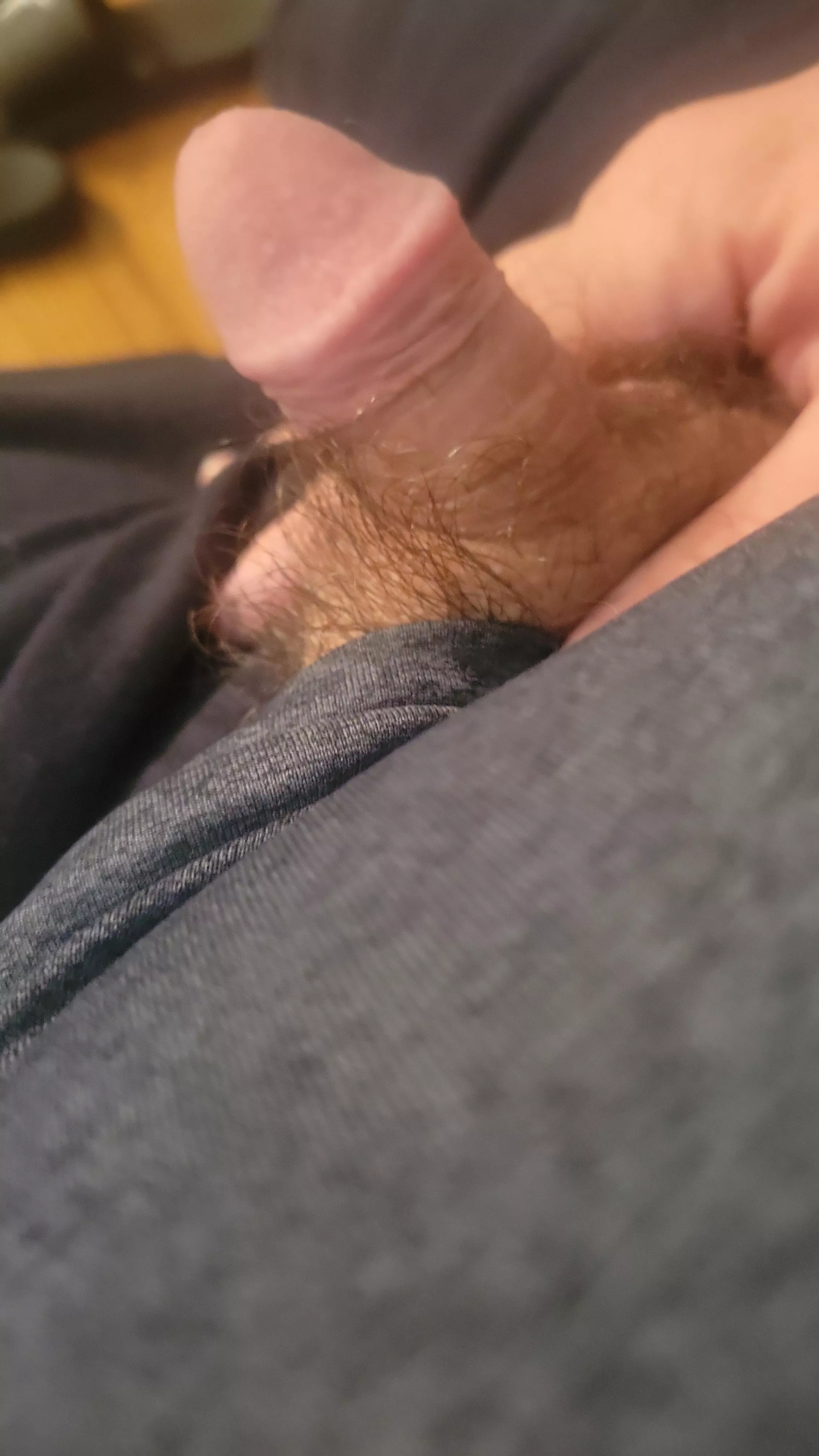 Daddy please!!! (42)