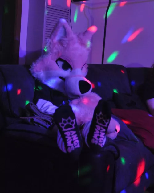 Do you like my socks? 😳