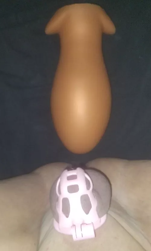 Do you think I can fit this plug in me?