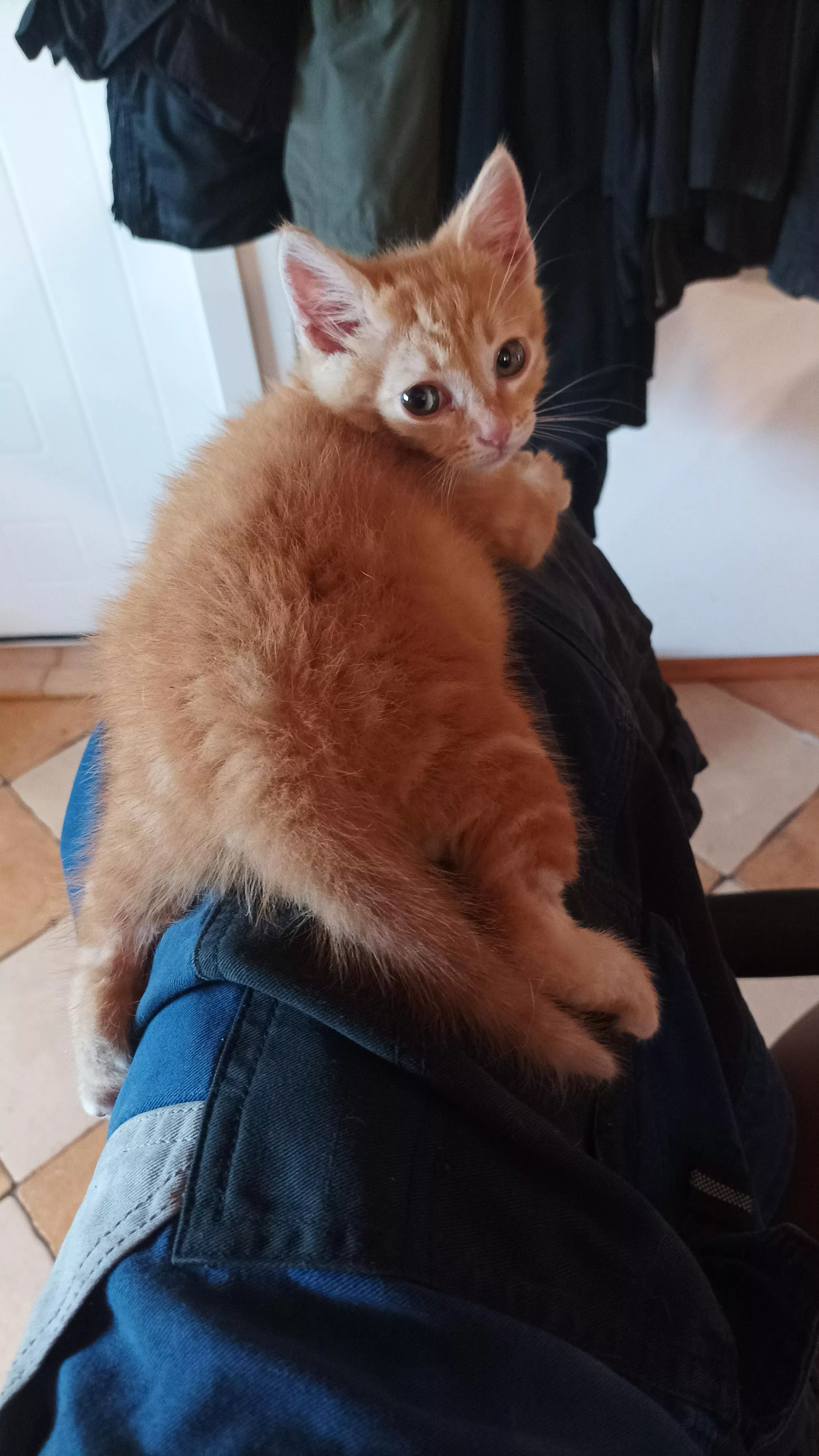 Don't worry, Fizz [M] is 18 in this photo (weeks, that is)