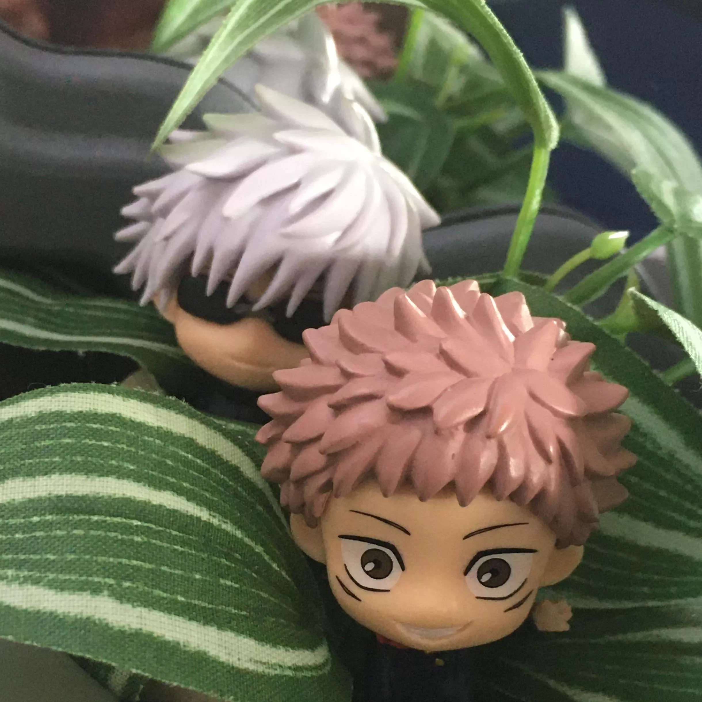 EVERYBODY STOP & LOOK AT MY BABIES 😡