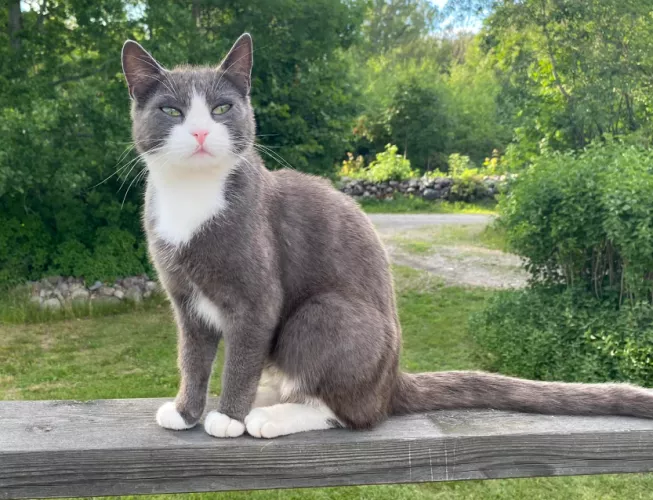 [f] Mini blended by the sun 