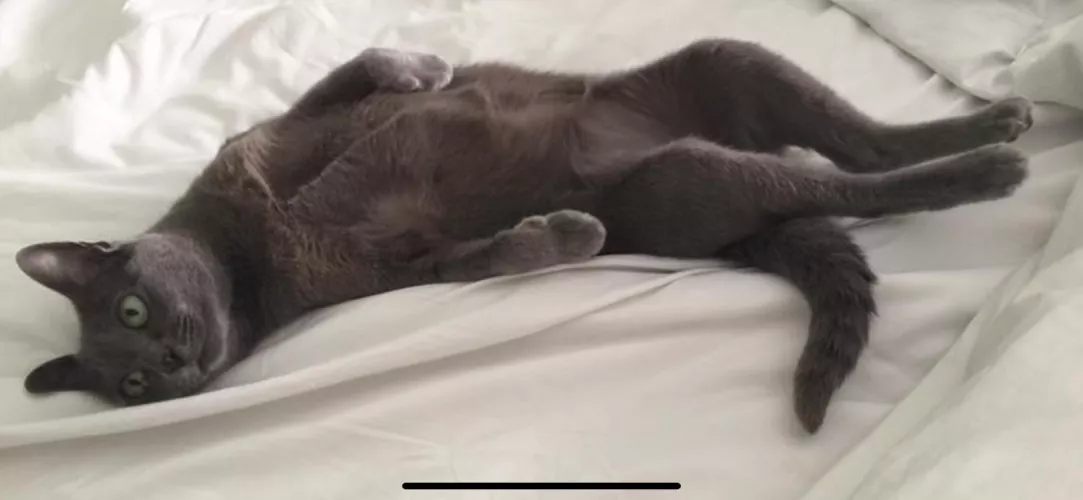 [f] Paint Me Like One of Your French Girls…