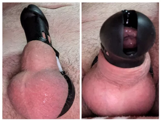 First cage ever. Am I just too big?