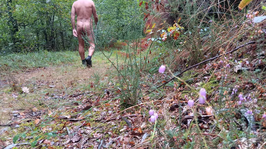 Forest naked hiking 