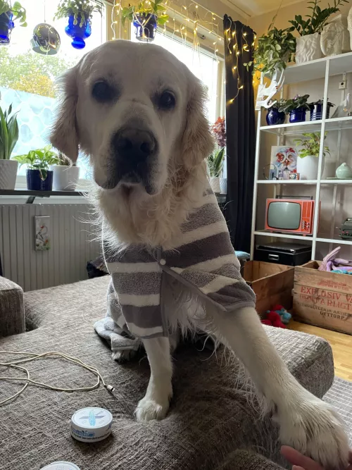 Fresh out of the shower!