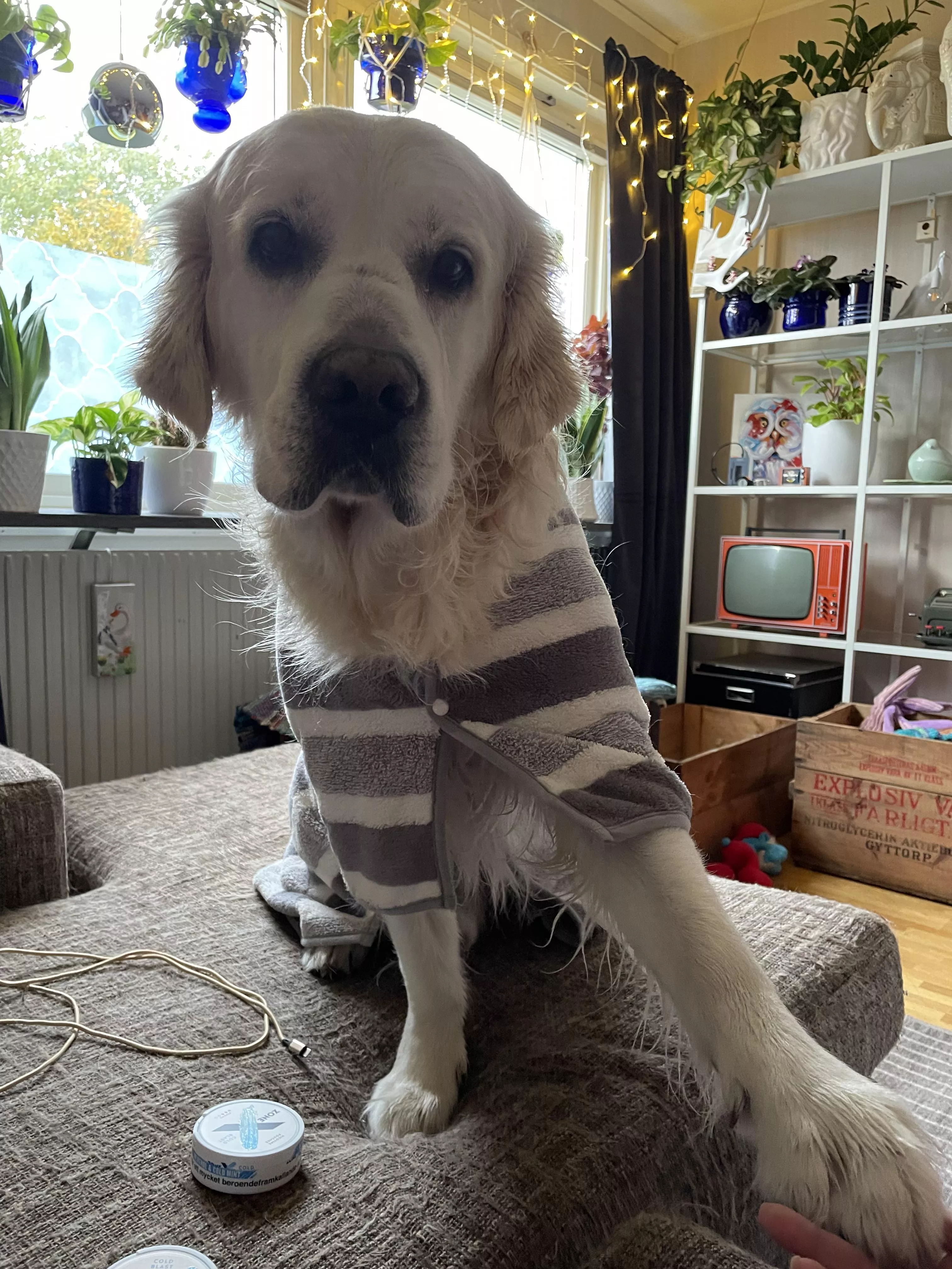 Fresh out of the shower!