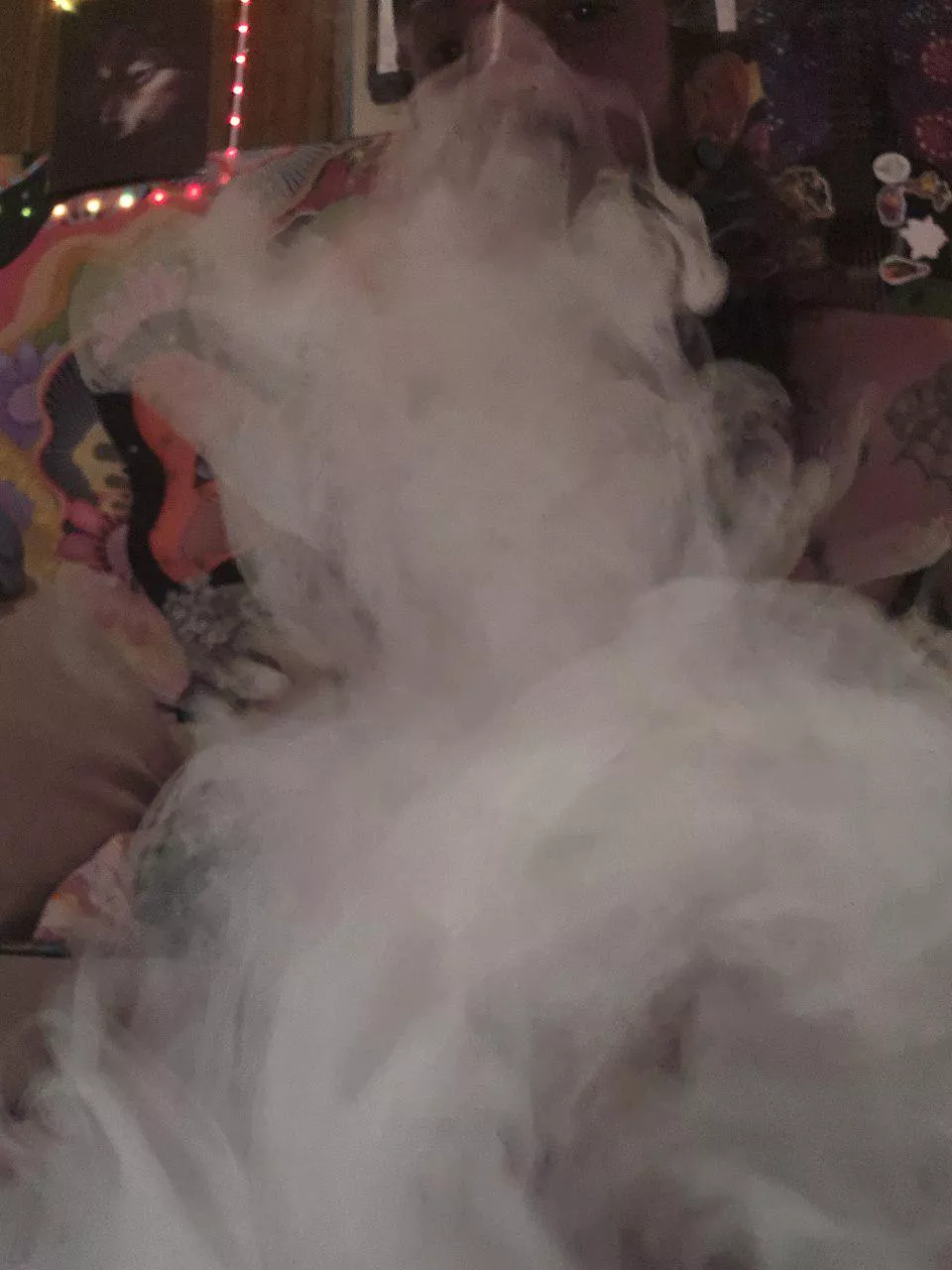 Getting spun and watching audit vids😂😂