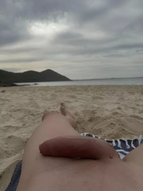 Great day for the beach 