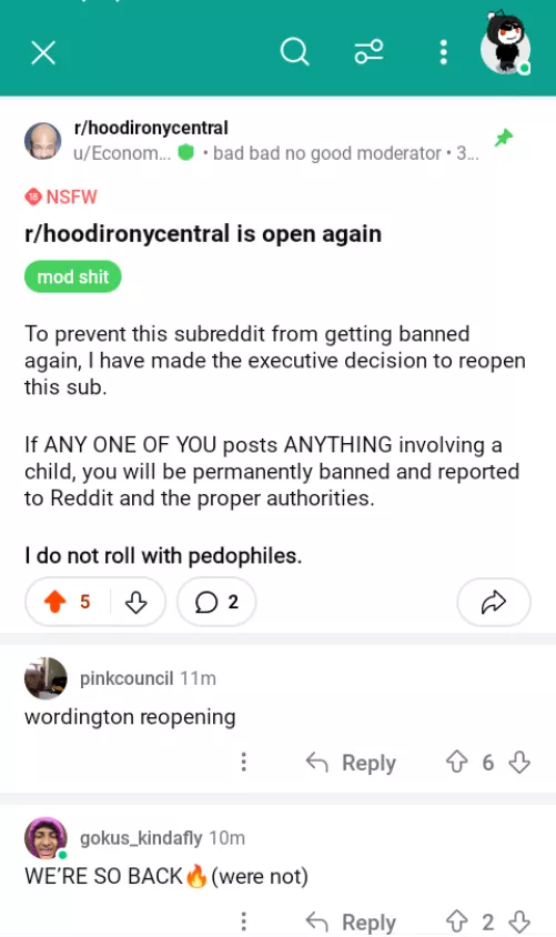 HOOD IRONY CENTRAL IS BACK