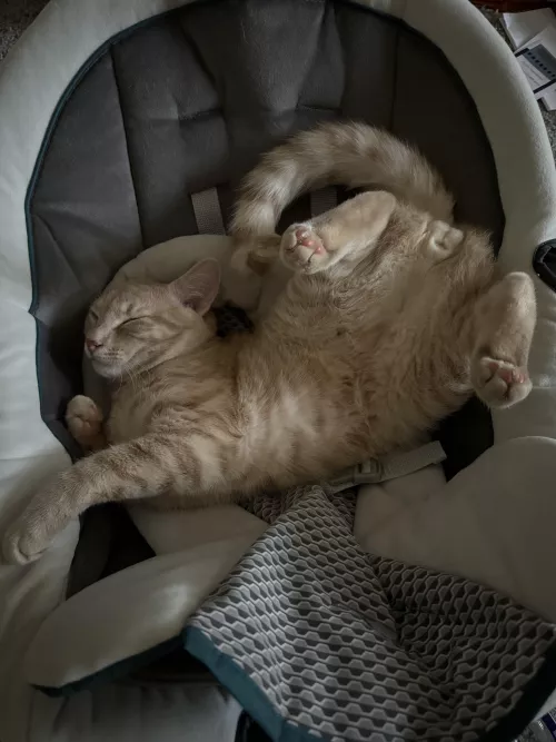 i always tell him to have some decorum [M]