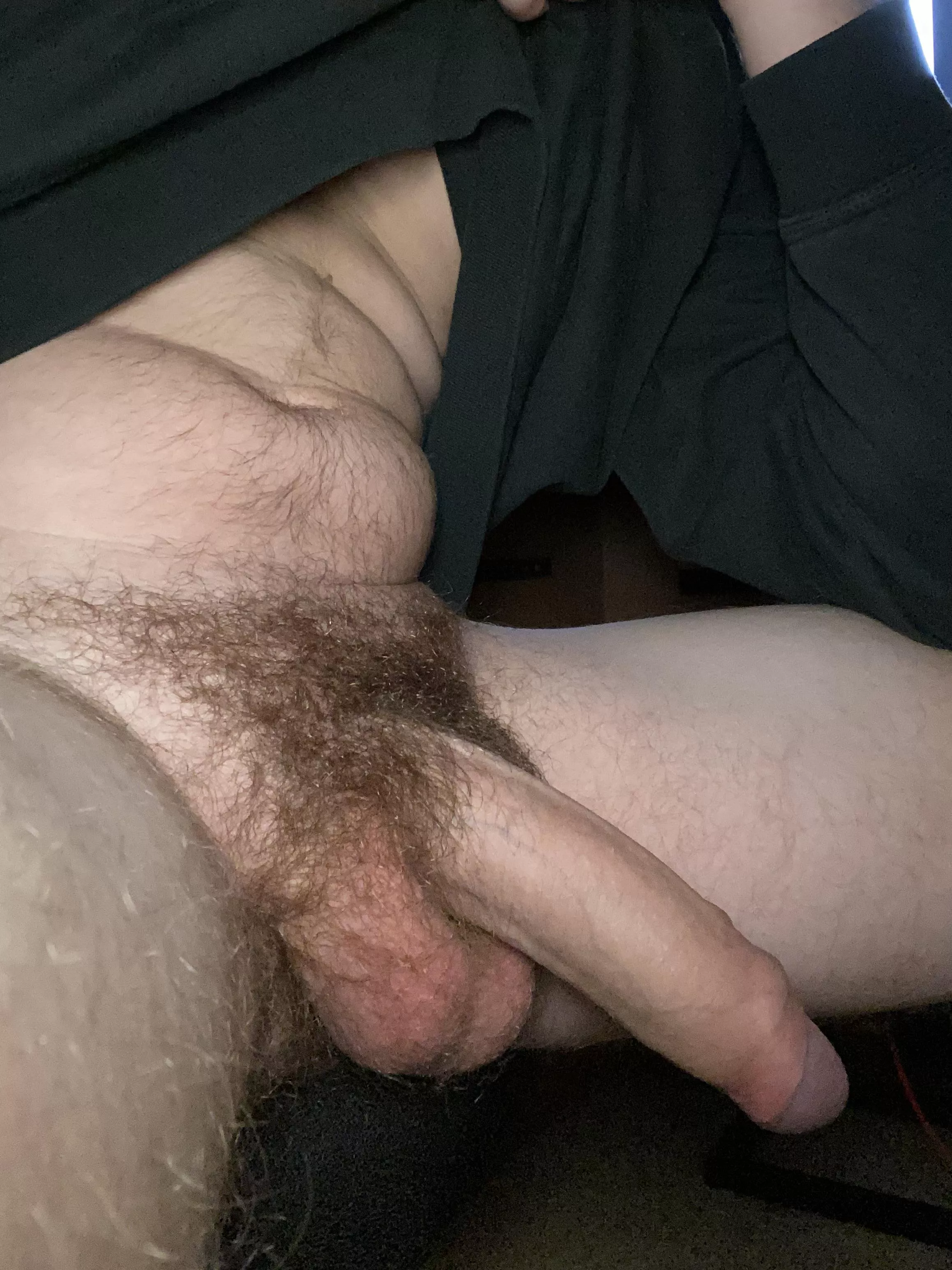 I hope you like my bush (25)