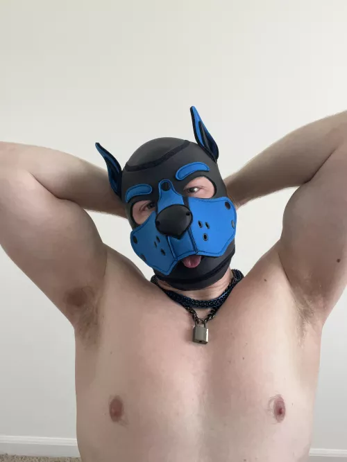 I want YOU to come sniff my pits after the gym 