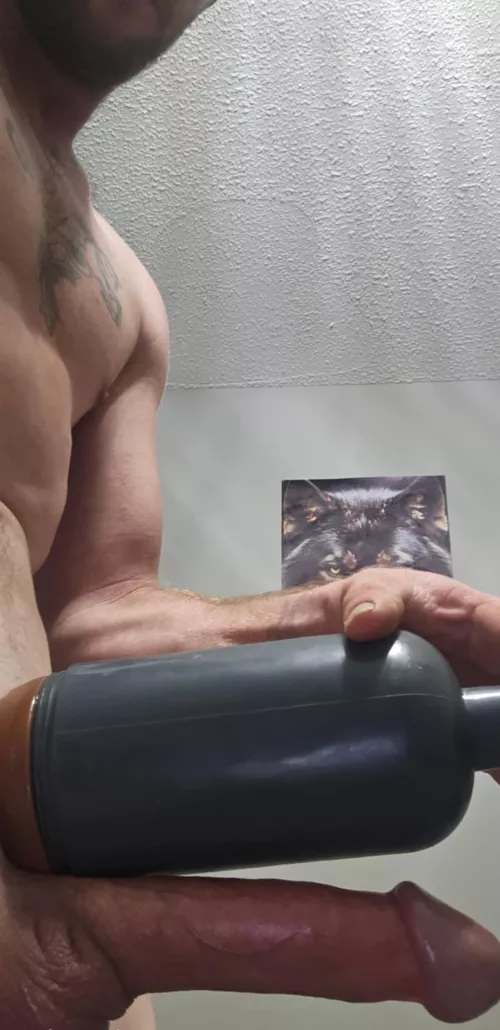 Is this your ideal size?