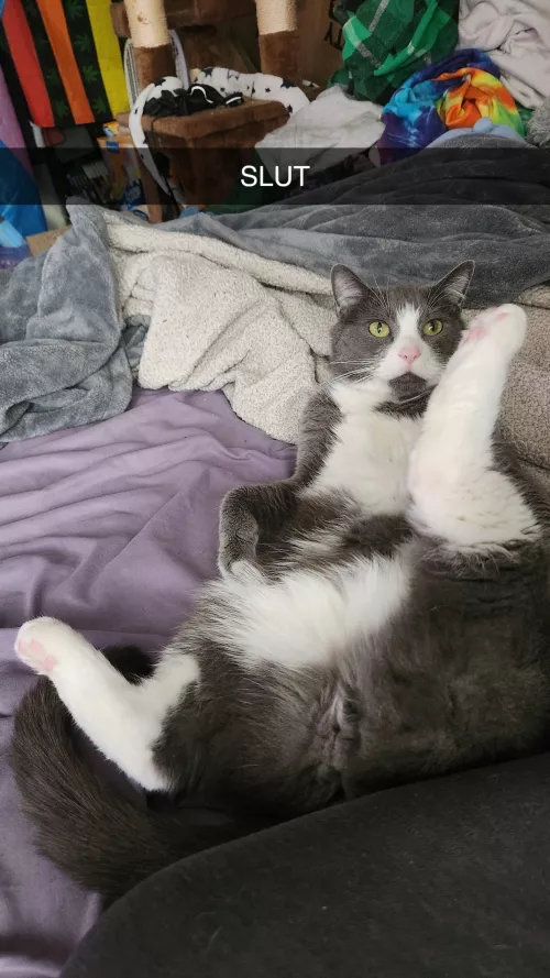 Jacket showing off the[m] goods