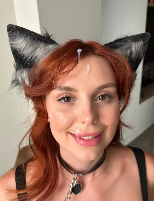 just a kitty looking to get some milk