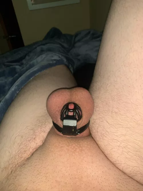 Just found out I’m going to be locked for over a year. I cried a little. 