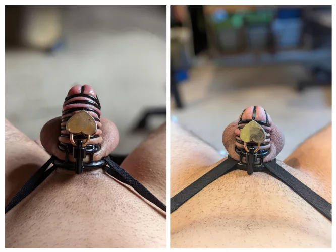 Last Locktober Vs This Years