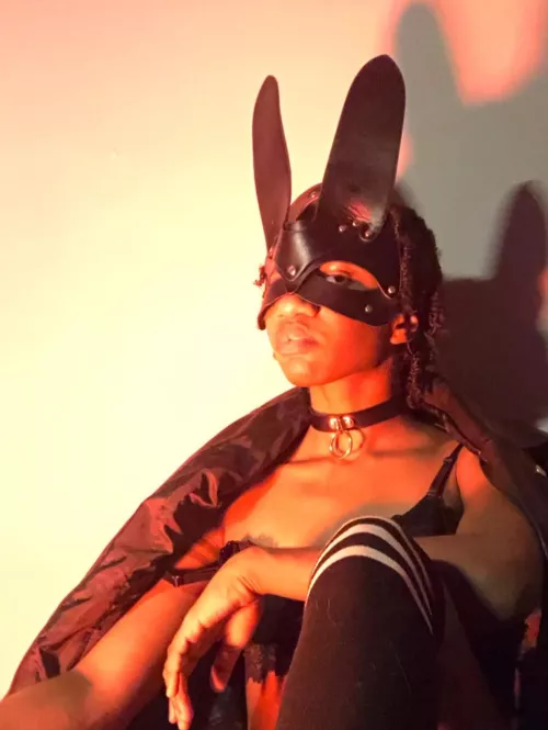 Like the fuckable bunny version of Batman