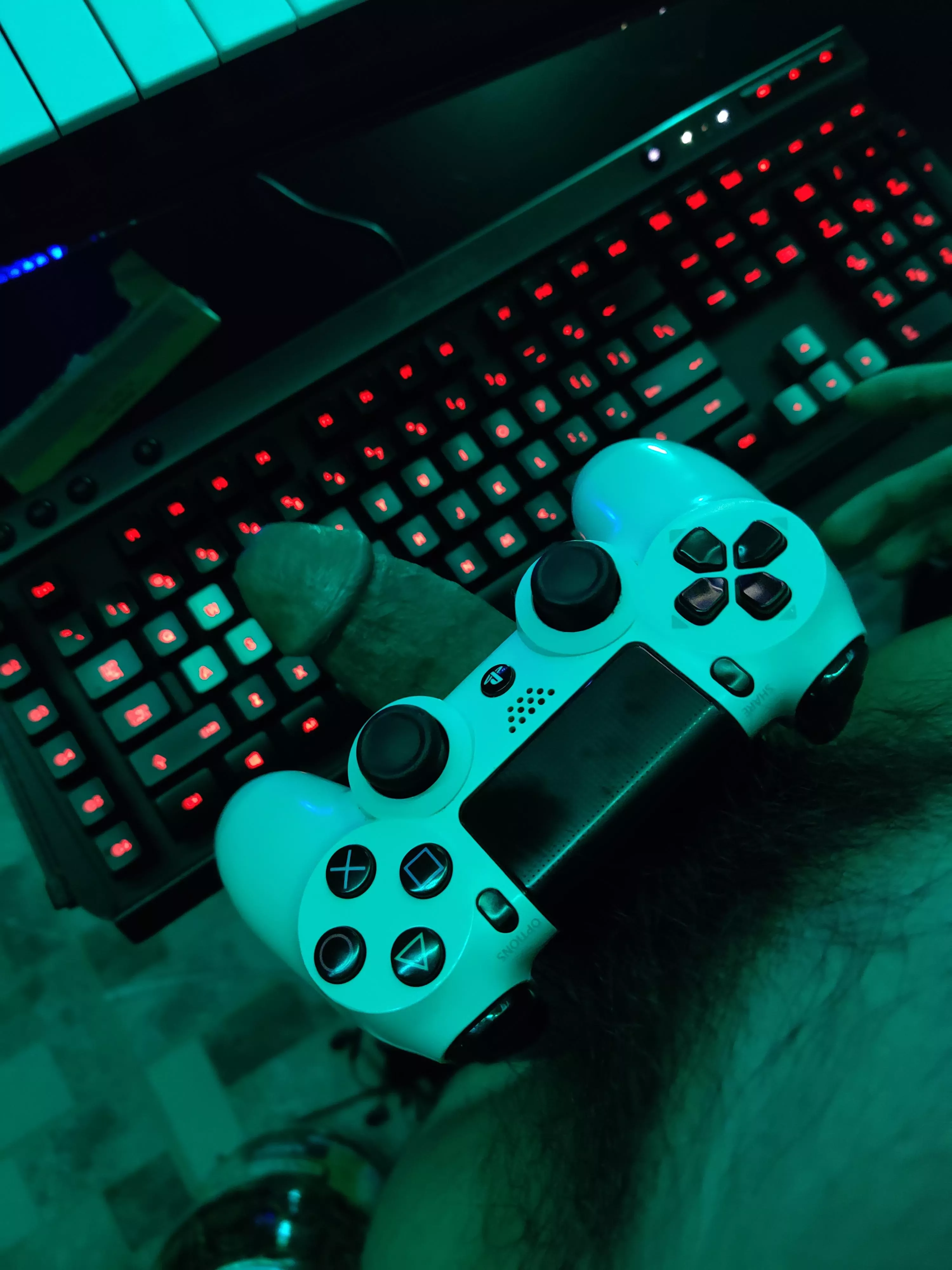 Look who's up and wants to play. Anyone wanna play too?