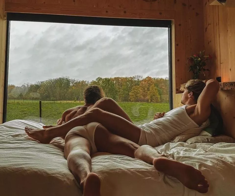 Looking out the window 