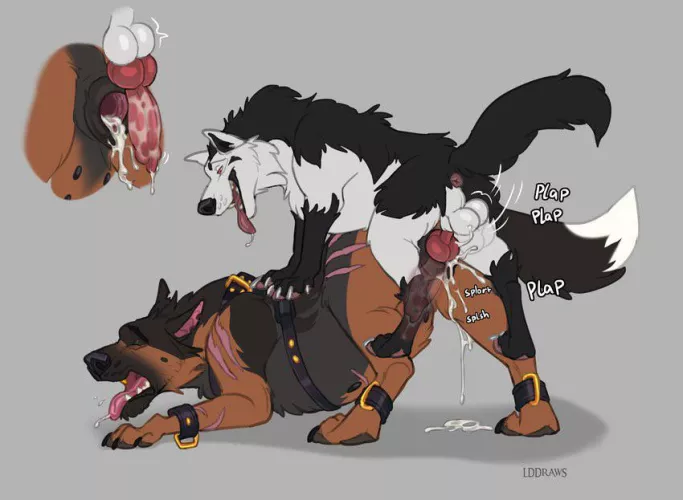 Ludwig creampied [f] (lddraws)