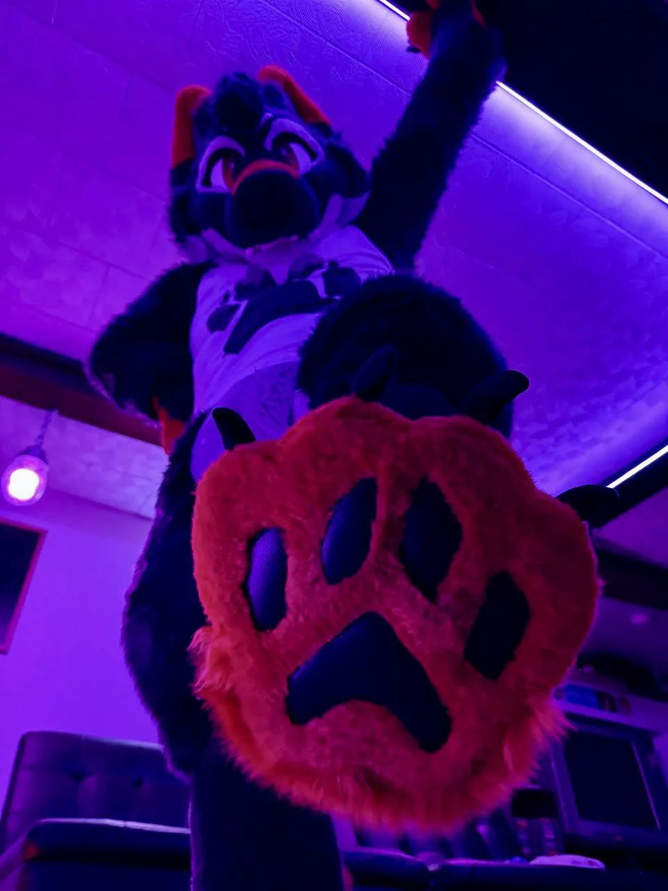 M Fursuit Paws (read my comment!)