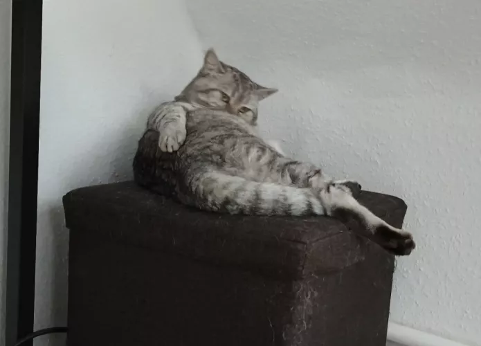 [m] Two minutes into netflix & chill and he gives you this look. What do you do?