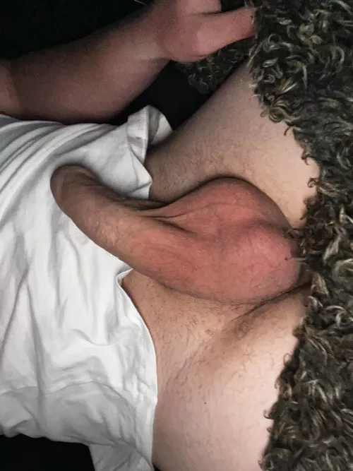 M19 looking for fun dm