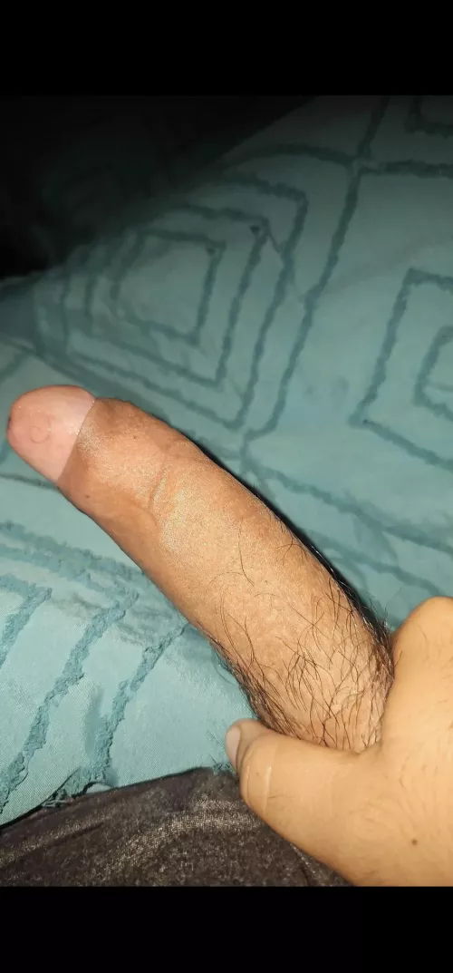 M27 Looking for females