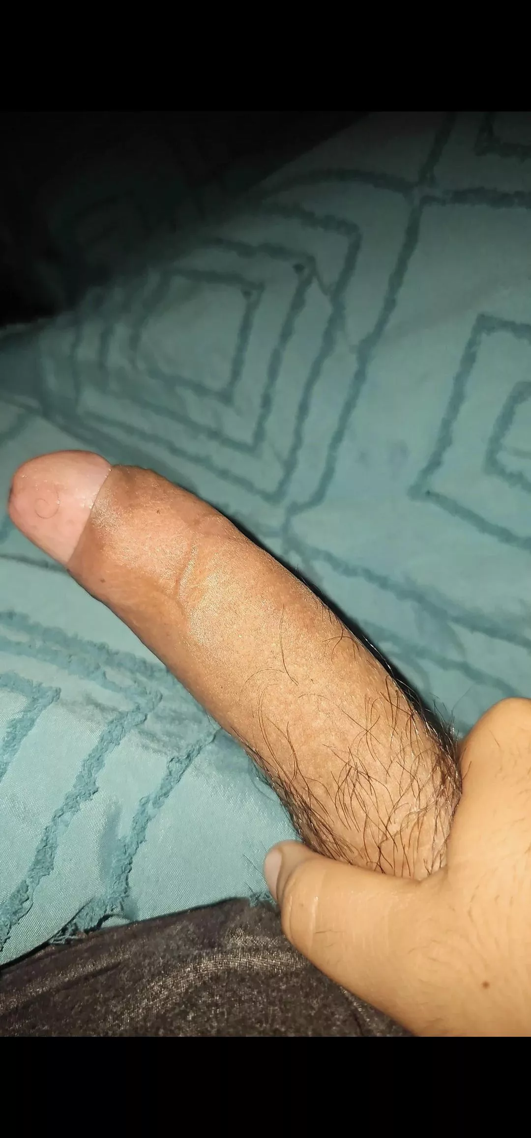 M27 Looking for females