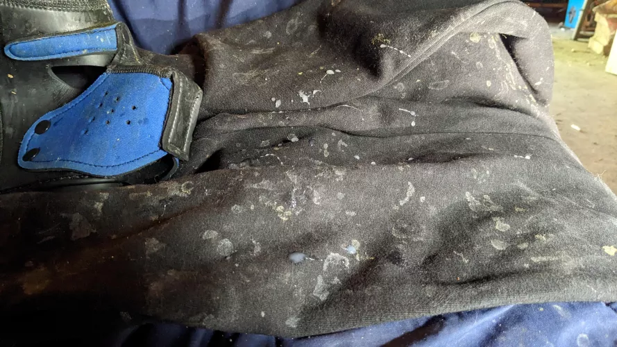 Morning mess. -delfly 