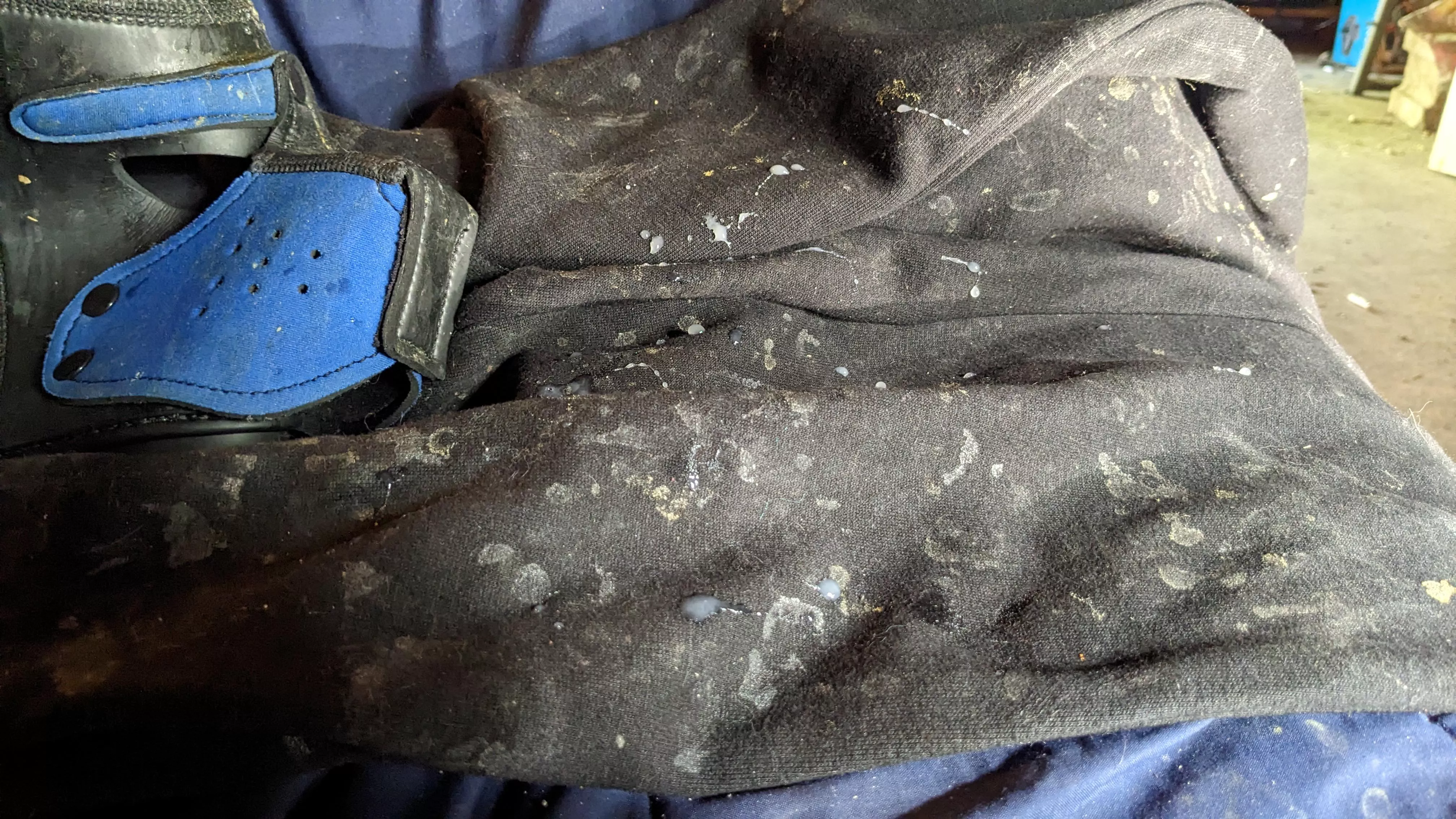 Morning mess. -delfly 