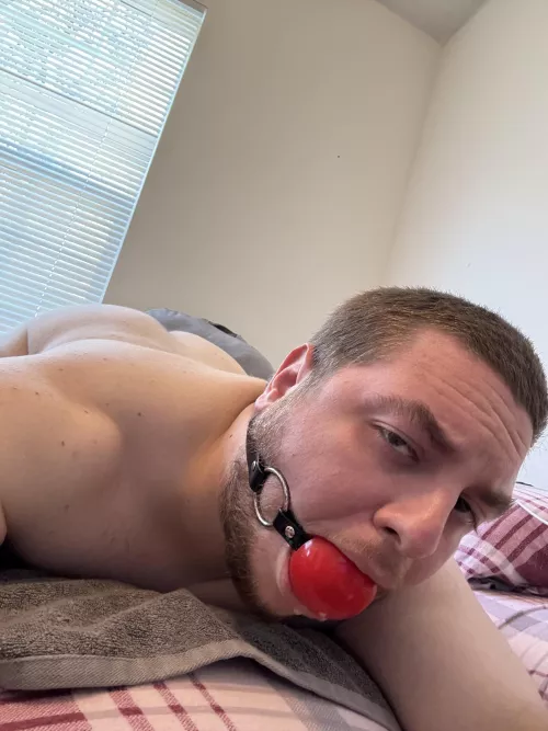 My face as i feel the tip of your strapon slide in me🤤