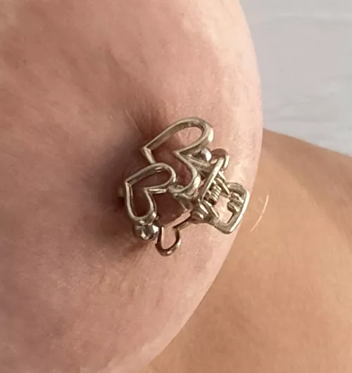 My large areolae are adorned with a full stuffing