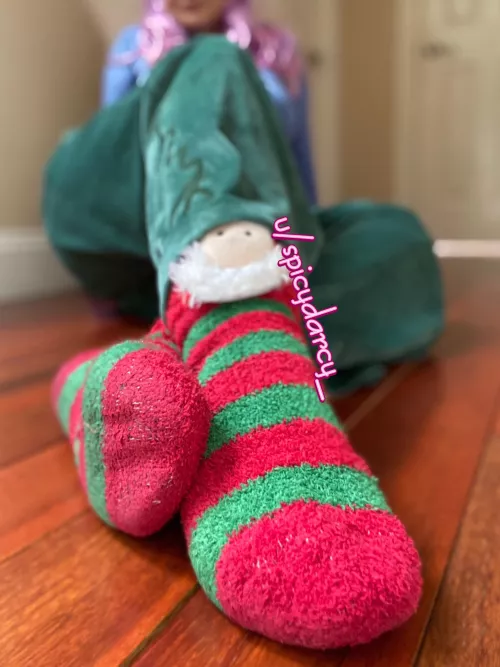 My lil fuzzy friends