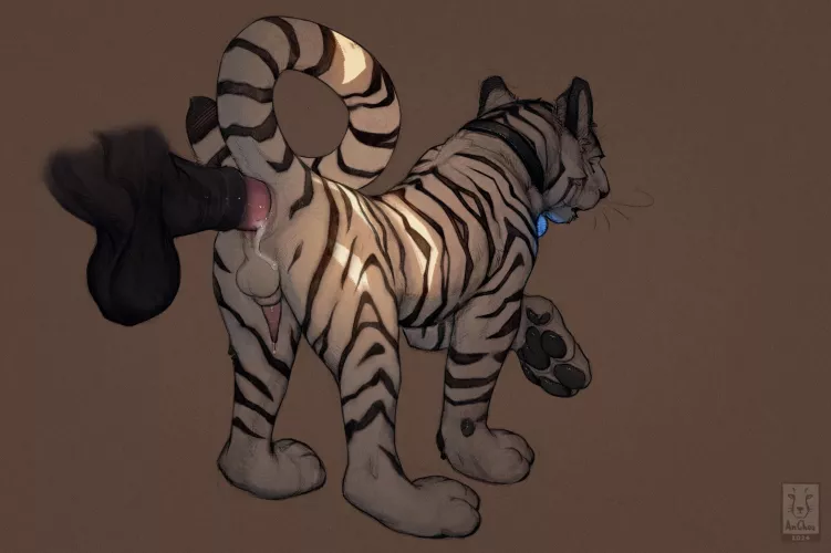 My Tiger and horse toy =) (anchee) [MM]