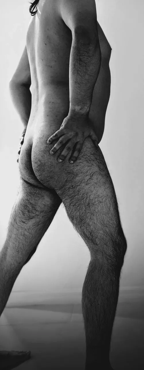 [M]y try on challenge #244