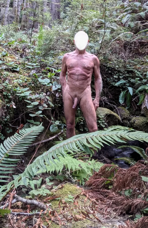 Naked in the redwood forest