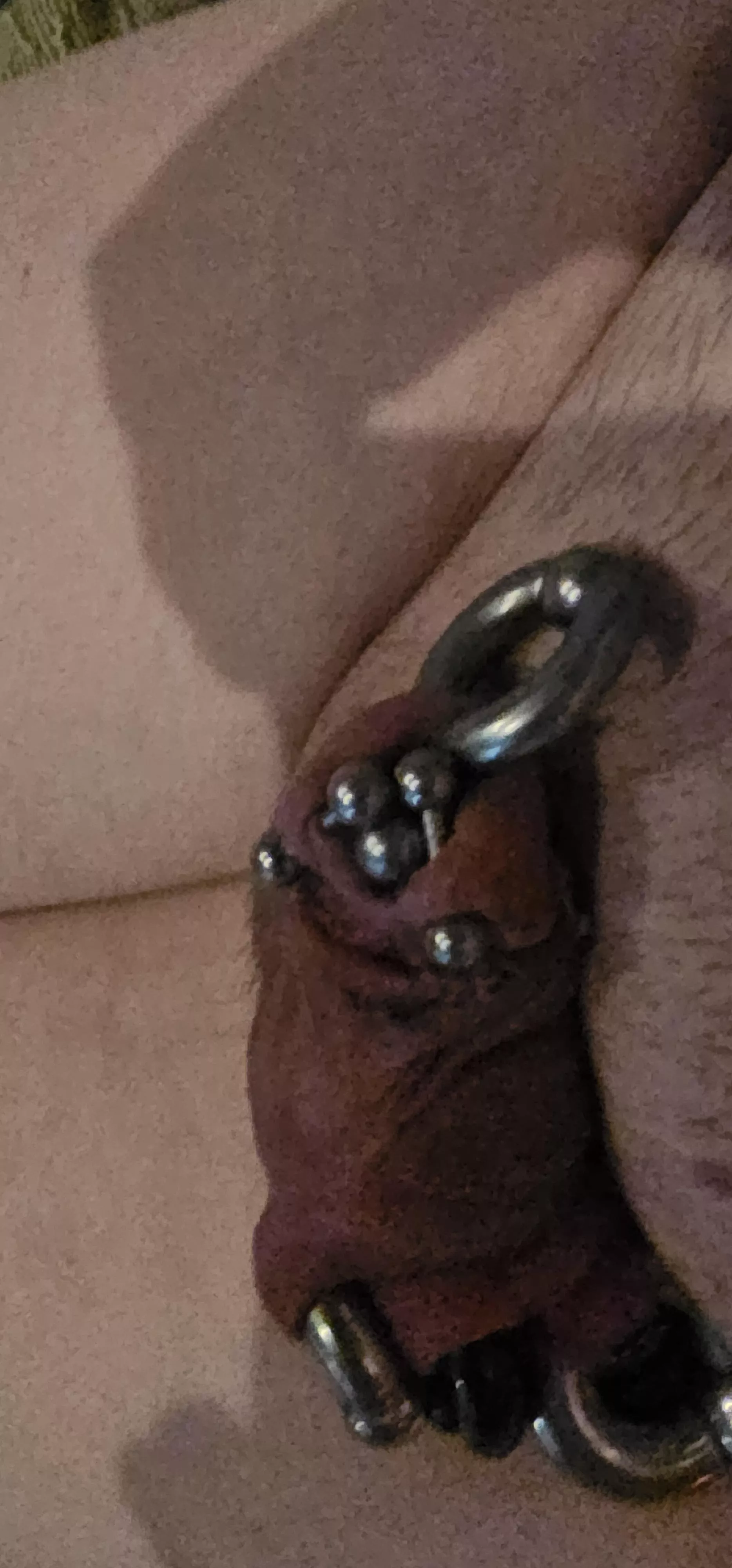 Need a dolphin piercing now